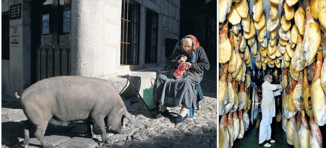 Lady with pig and joints of ham